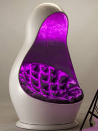 The Chair of Lightness Violet Lights